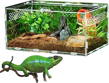 Amazon.co.jp: アクリル爬虫類ケージ | 飼育ボックス タンク 明確な