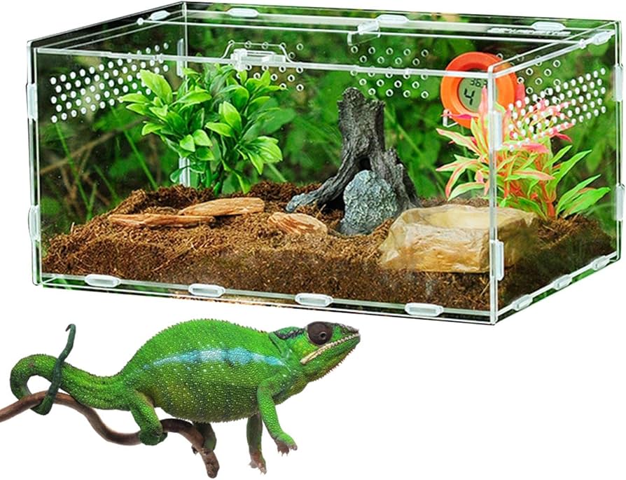 爬虫類 ケージ シェルター アクリル製 トカゲ 蛇 サソリ 飼育 ボックス