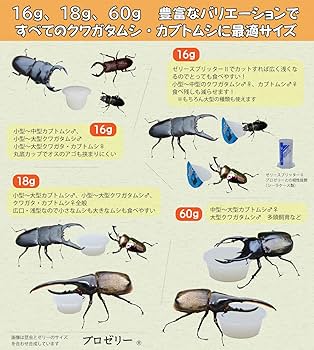 Amazon | KBファーム プロゼリー(16g 100個入り) 高たんぱく