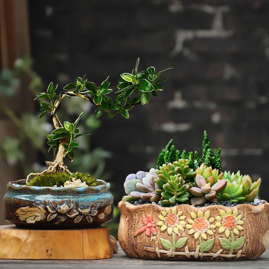 盆栽鉢植木鉢陶芸園芸盆栽