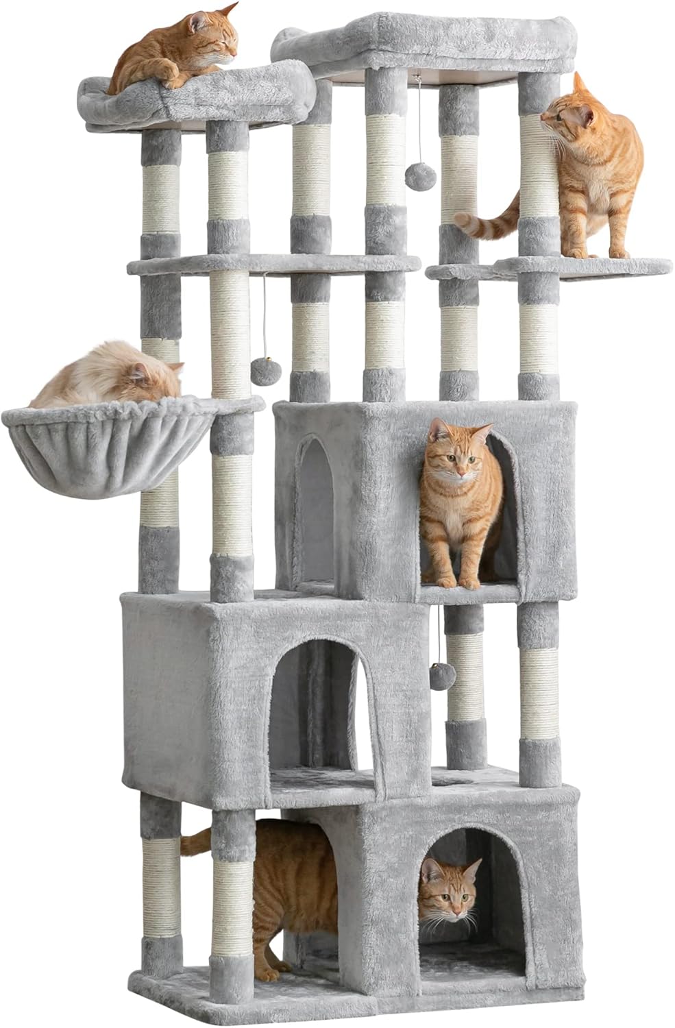 2025年最新】レース鳩関連商品 - 飼育用品や専門書が勢揃い - Yahoo