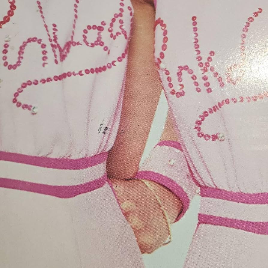 ピンクレディー パネル レトロ Yahoo!オークション - 昭和レトロ