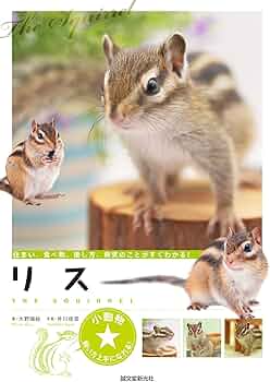 71ynYTwutSL._AC_UF350,