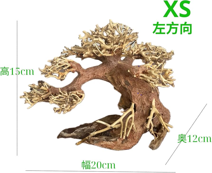 Amazon | ミニ盆栽流木 サイズ(幅20cm 奥12cm 高15cm) 小型の卓上水槽