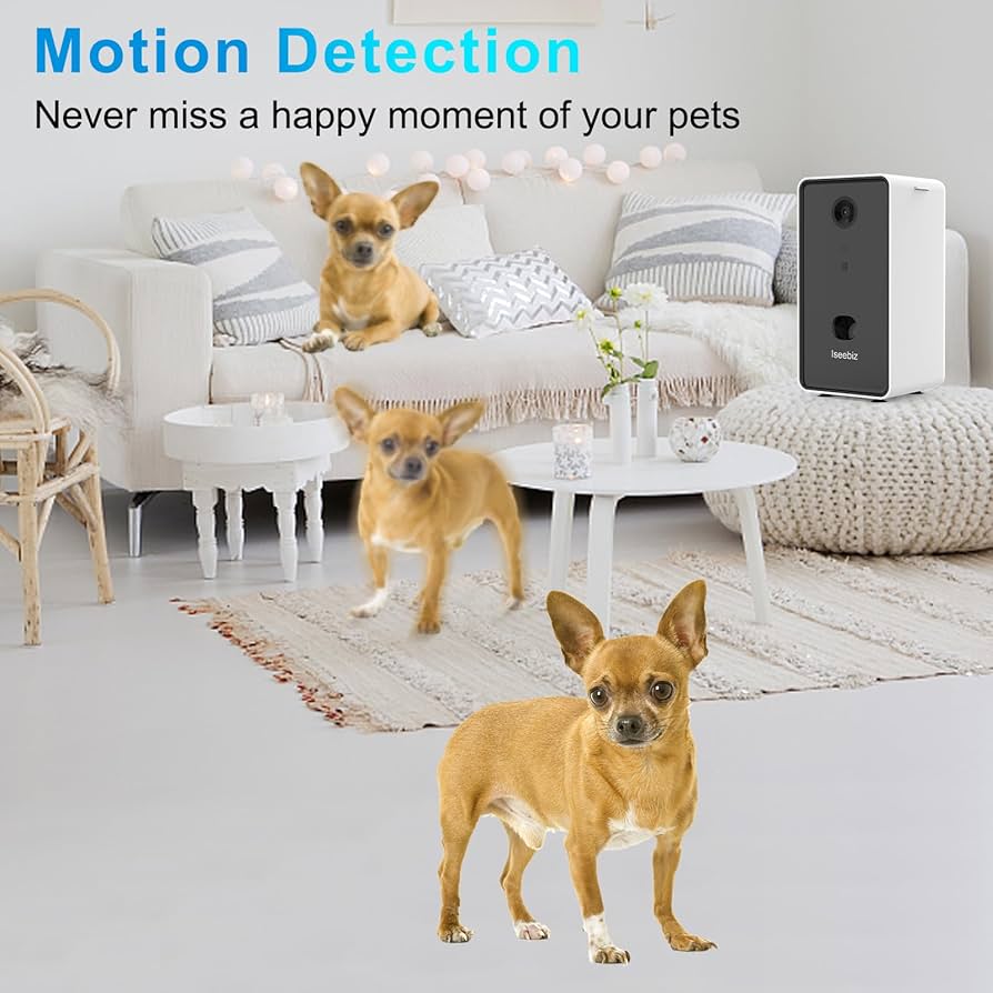 Amazon.com: Iseebiz Pet Camera Treat Dispenser, 2 Way Audio Talk