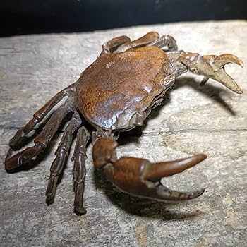 Amazon.co.jp: 蟹 置物 風水 カニ 風水置物 インテリア 銅製 風水