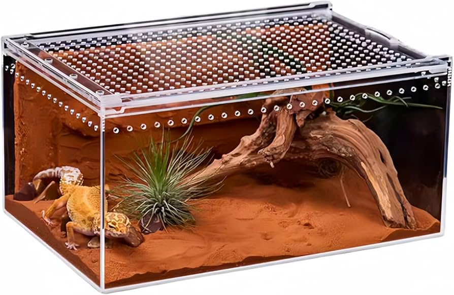 Amazon | Chengshuang レプタイルボックス アクリル素材