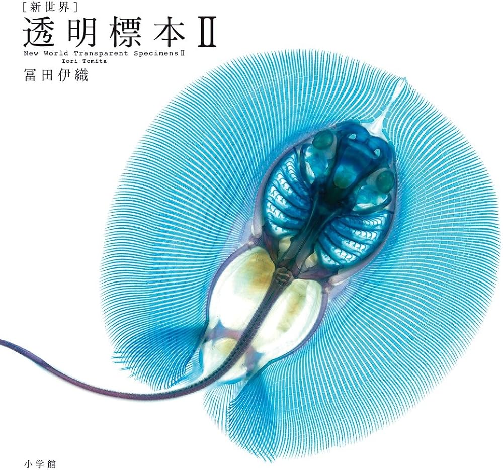 新世界]透明標本: New World Transparent Specimens 2 (2) | 冨田 伊織