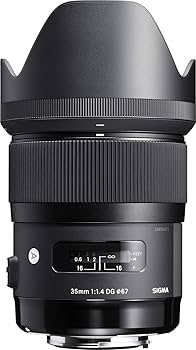 Amazon.com : Sigma 35mm F1.4 Art DG HSM for Sony E (Renewed
