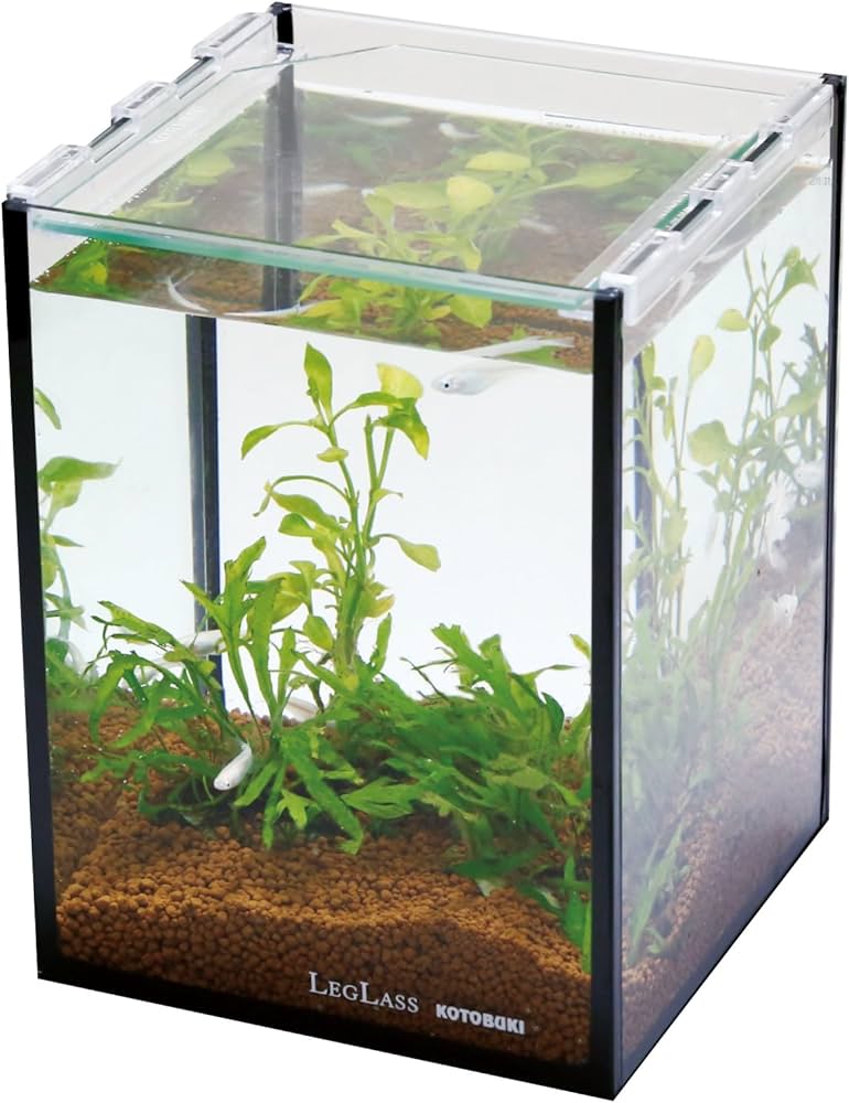 Amazon | 寿工芸 クリスタルキューブ 150H/B | Kotobuki | 水槽 通販