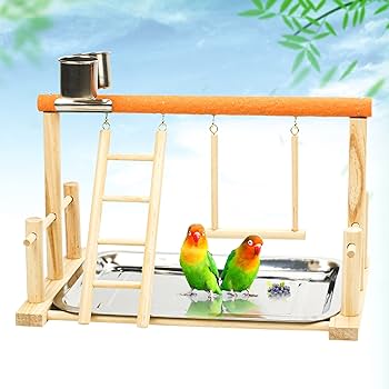 Amazon | 鳥スタンド 止まり木 バードアスレチック 玩具 インコ