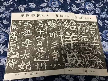 Amazon.co.jp: 大澤雅休 書原 書道論説 書原 書林 古書道 前衛書道
