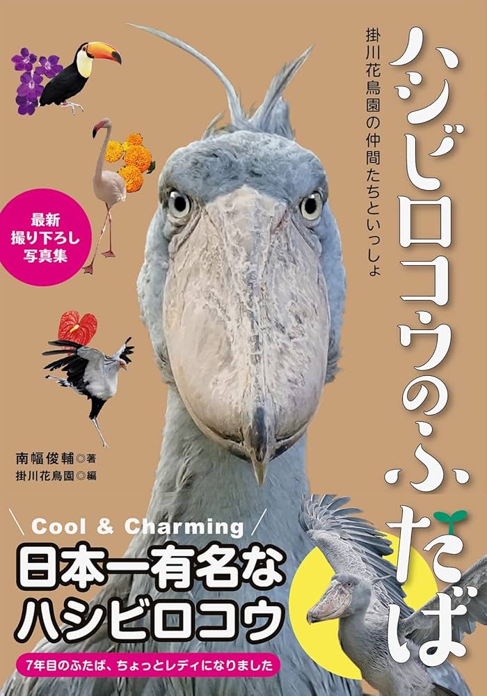 ハシビロコウのふたば～掛川花鳥園の仲間たちといっしょ～ | 南幅 俊輔