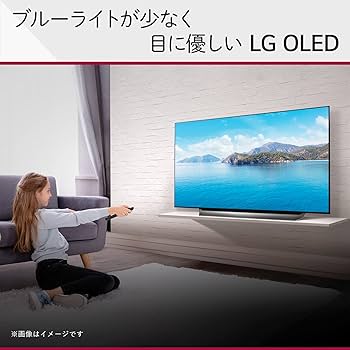 LG 48型 2022年製 Alexa搭載 OLED48A2PJA 4K有機EL