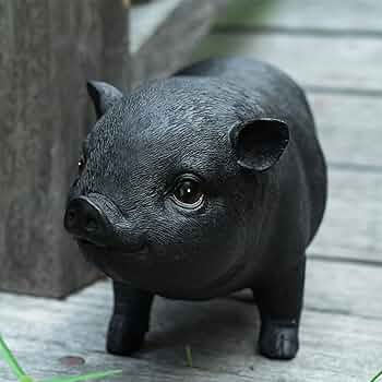 71B+aKf-DcL._AC_UF350,