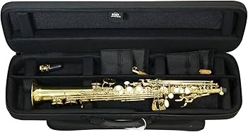 Amazon | BAGS (バッグス) ソプラノサックス用ファイバーケース EFSS M