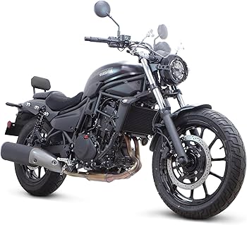 Amazon | スペシャルパーツ武川(TAKEGAWA) ヘッドライトガード