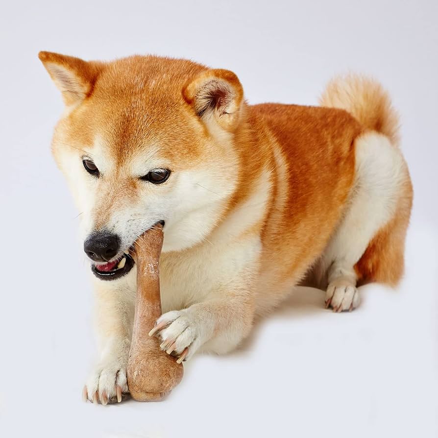 Amazon | ペティオ (Petio) 犬用おもちゃ Ethical Door エシカルドア