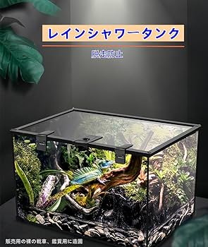 テラリウム空間（イモリ等の両生類の飼育可）｜テラリウム空間（イモリ