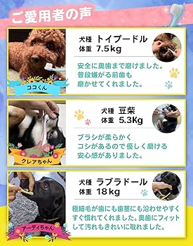Amazon.co.jp: 【獣医師監修】 犬用歯ブラシ 犬歯磨き 小型犬