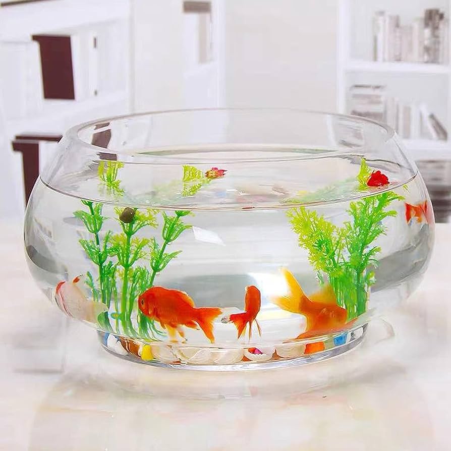 流木ガラス オブジェ特大A 花瓶 金魚鉢 ガーデニング テラリウム 観賞