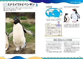 Amazon.co.jp: みんなが知りたい! ペンギンのすべて 空を飛ばない