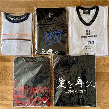 globe ナイロンベスト 小室哲哉 Keiko マークパンサー globe。左から