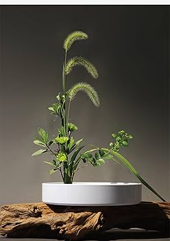 Amazon.co.jp: 水皿、丸生花器、乾山生花器、長方形和風華道、小原流