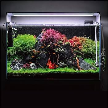 Amazon.co.jp: ONF Flat One+ 水槽ライト アクアリウムライト 60cm