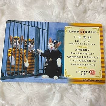 なめ猫カード 価格交渉受付中 なめ猫カード 価格交渉受付中 なめ猫