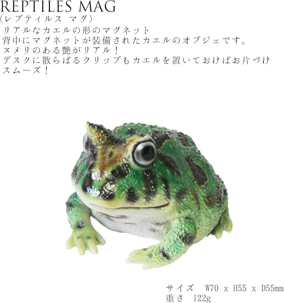 Amazon.co.jp: リアル ツノガエル カエル 蛙 オブジェ 置物 REPTILES
