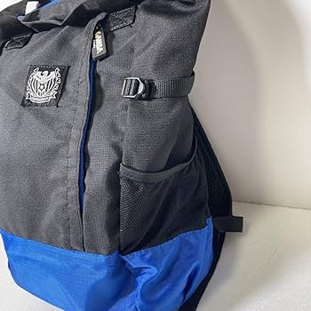 ガンバ大阪 ファンクラブ ゴールド会員 特典 リュック ガンバ大阪