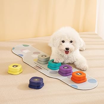 Amazon | MEWOOFUN 犬用 録音ボタン 6個入り 会話ボタン 音声ボタン