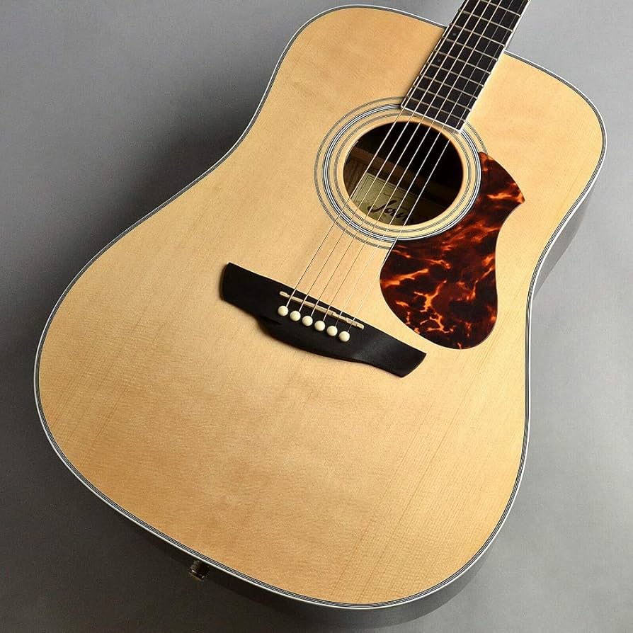 James J-500D サイド・バック トラ杢 James J-500D サイド・バック