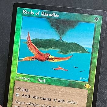 Amazon.co.jp: MTG 極楽鳥Birds of Paradis 英語版 旧枠 foil マジック