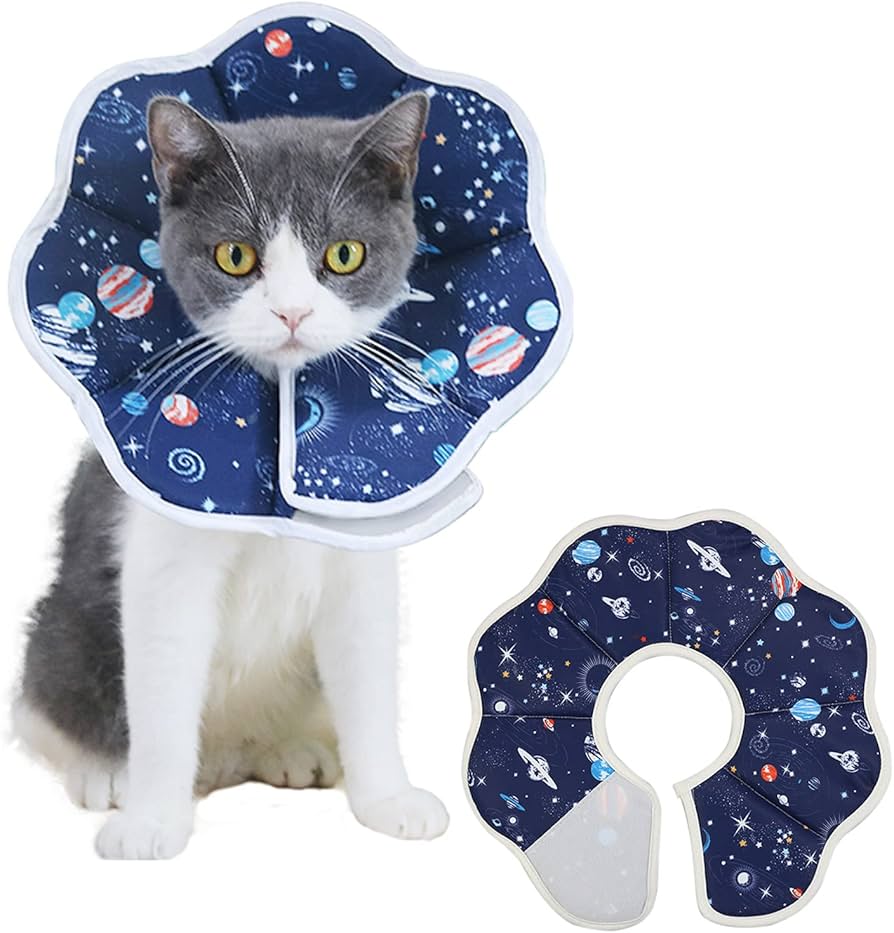 Amazon | エリザベスカラー 猫用 小型犬用 術後傷口保護 傷舐め防止