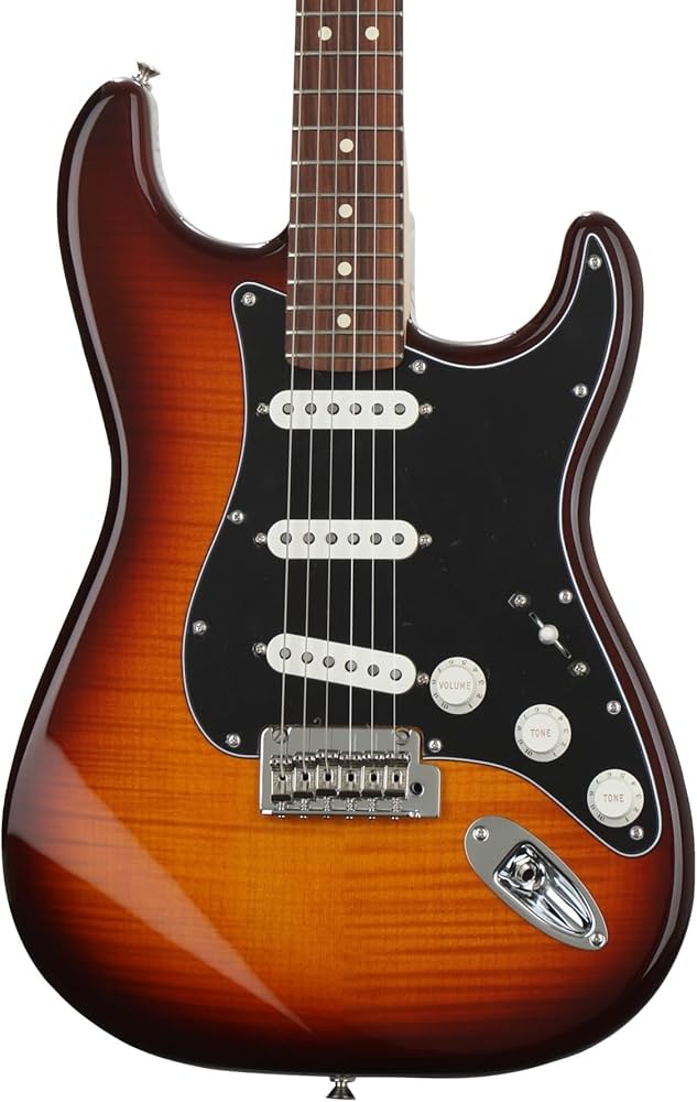 Amazon | Fender エレキギター Player Stratocaster® Plus Top, Pau