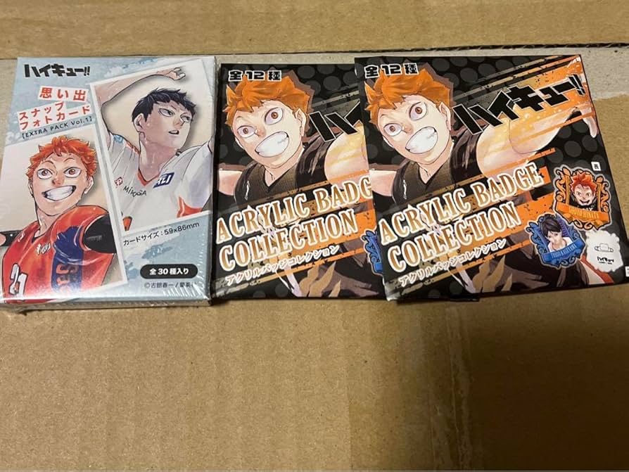 新品未開封】 ハイキュー 思い出スナップフォトカード 10個セット