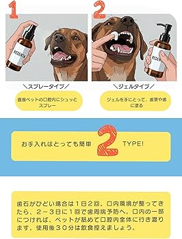 Amazon.co.jp: [REDENTA]リデンタ犬猫用 歯石ケア ジェル50mL(ミント味