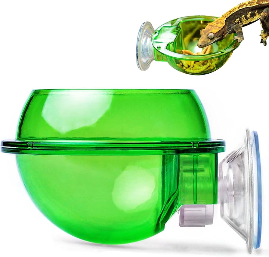 Amazon | PAVIKE 爬虫類 餌入れ 爬虫類 フィーダー 爬虫類給餌ボウル