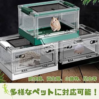 小動物、爬虫類等飼育セット