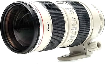 Amazon.co.jp: Canon EF L Lens 70-200mm F2.8L IS USM : Electronics