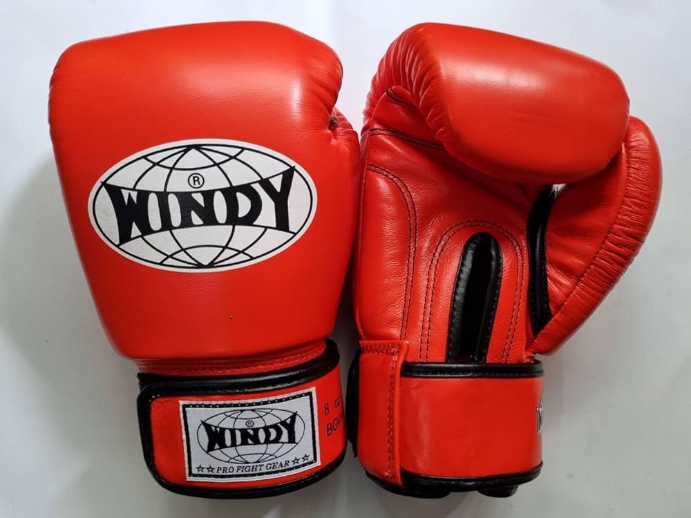 Amazon.co.jp: WINDY ウィンディ キック ボクシンググローブ BGVH