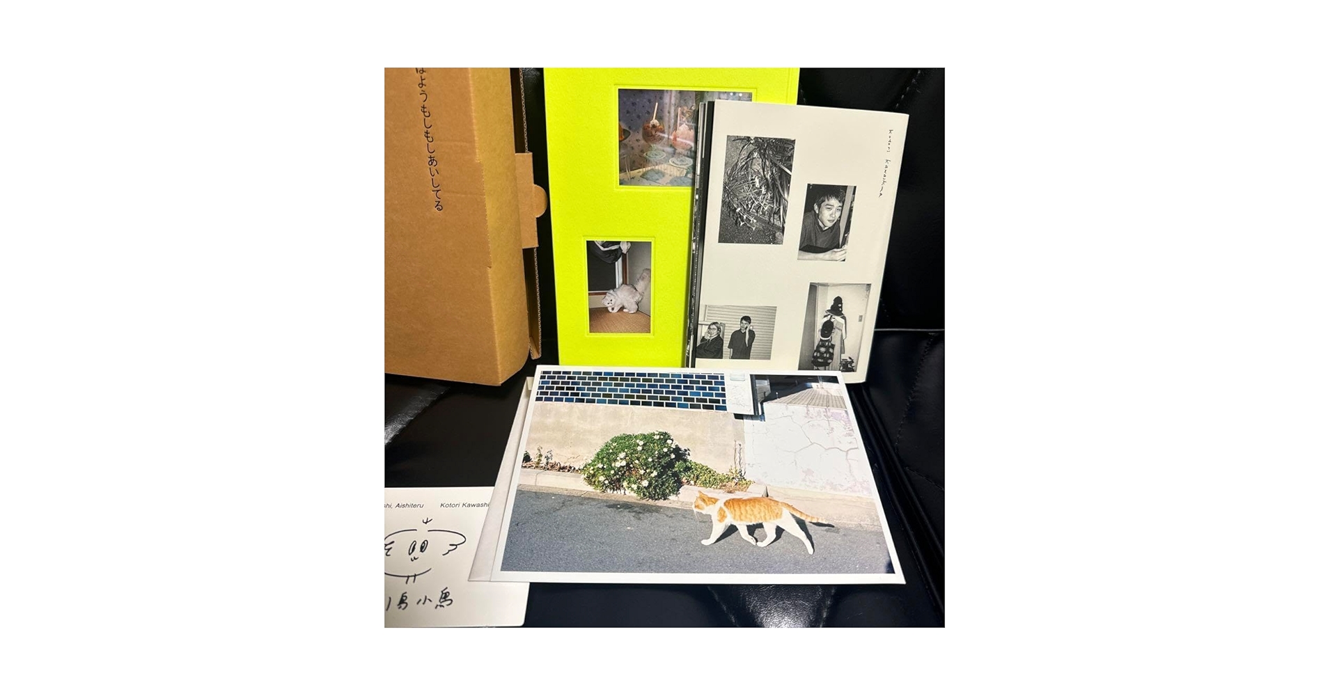 川島小鳥 特装版 おはようもしもしあいしてる 限定100 オリジナル