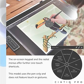 Amazon.com: Wacom DTK2420K0 Cintiq Pro 24 Creative Pen Display