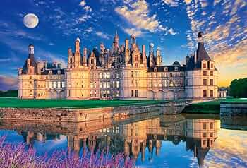 71FajpJ9kPL._AC_UF350,