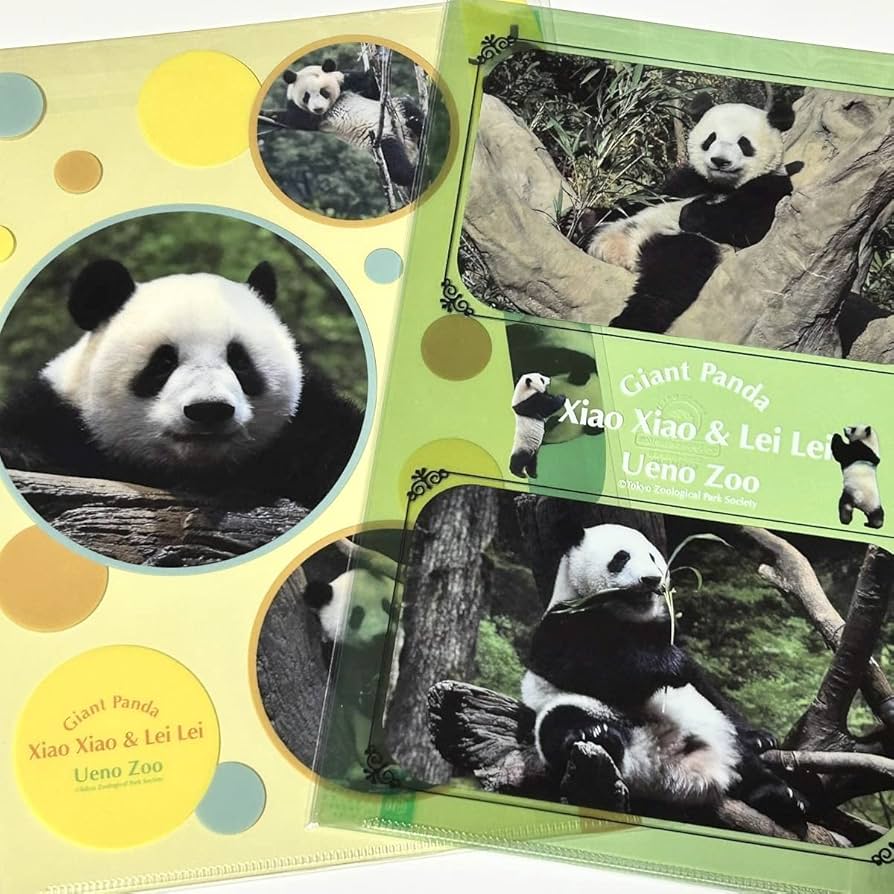 Amazon.co.jp: 上野動物園 3ポケットクリアファイル 暁暁＆蕾蕾 2枚