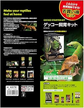 Amazon | GEX EXOTERRA ゲッコー飼育キット GT3045 爬虫類用ガラス