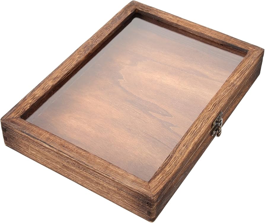 Amazon.co.jp: TOYMYTOY 木製昆虫展示ケース 12×8.7×1.7インチ 透明