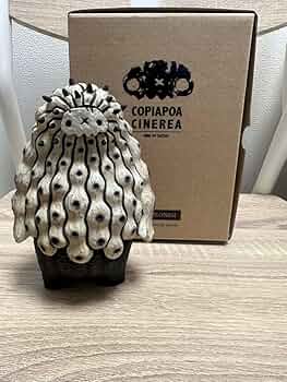 羅本製所Robin copiapoa x Poh